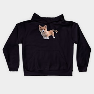 Cute Corgi Dog Kids Hoodie